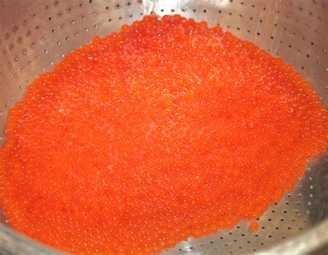 Fish Eggs: Names, Cooking, Nutrition, Benefits, Taste, Price.